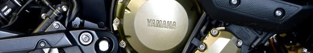 Yamaha Motorycle Engine