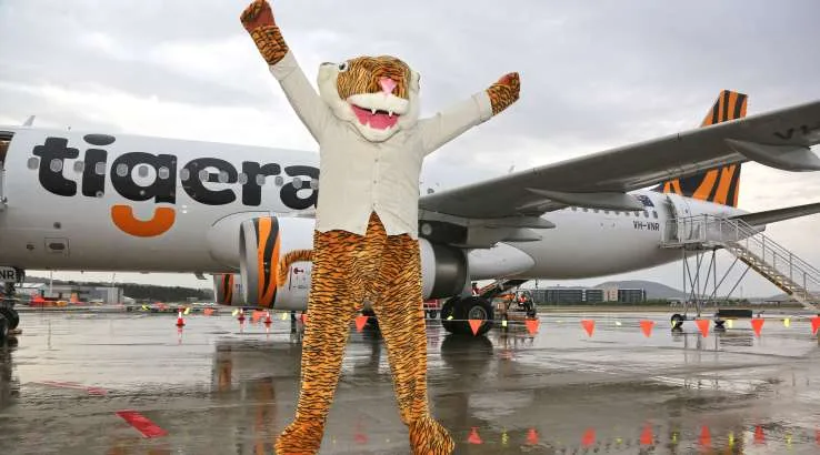 Tiger store airways baggage