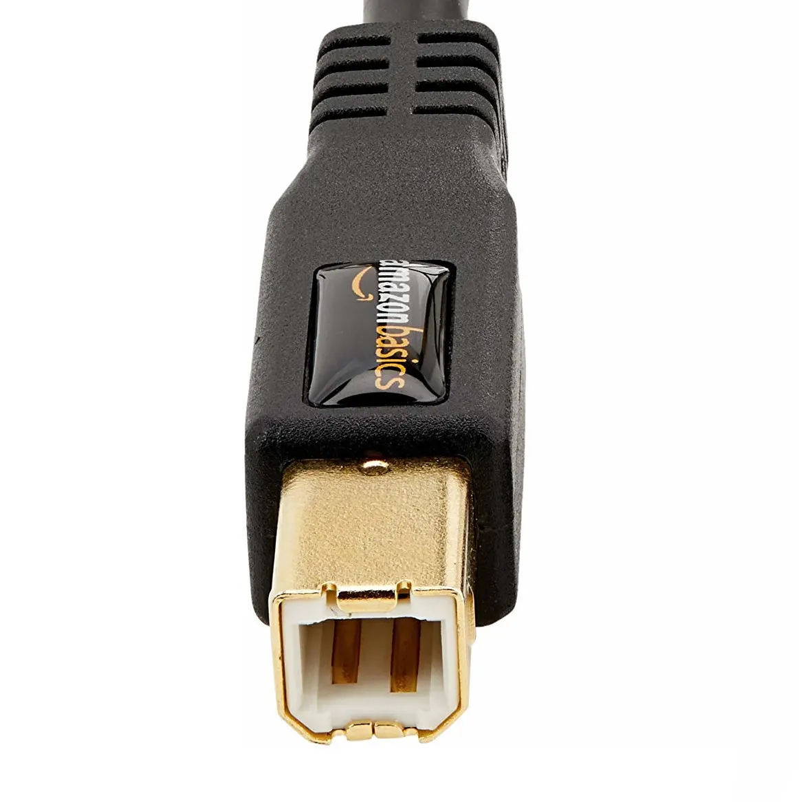 USB Type B (AmazonBasics)