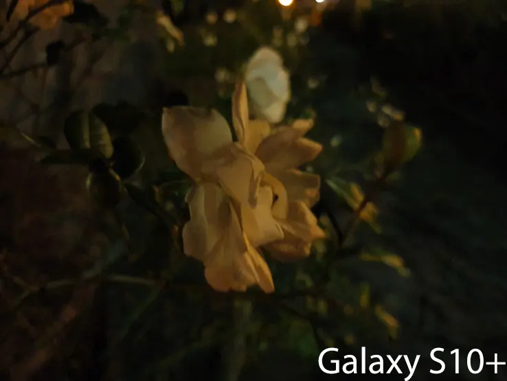 Galaxy S10 Sample Image: Alex Kidman/Finder
