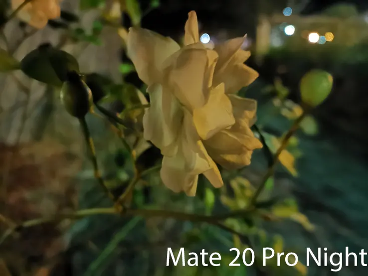 Huawei Mate 20 Pro Sample Image: Alex Kidman/Finder