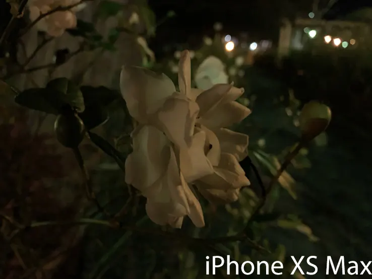 Apple iPhone XS Max Sample Image: Alex Kidman/Finder
