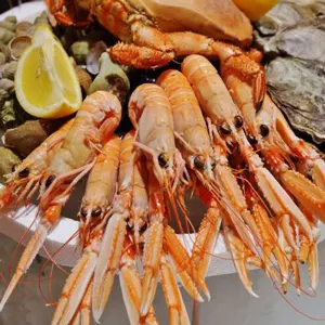 France seafood Image: Shutterstock