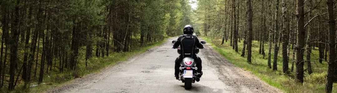 Motorcycle in the forest