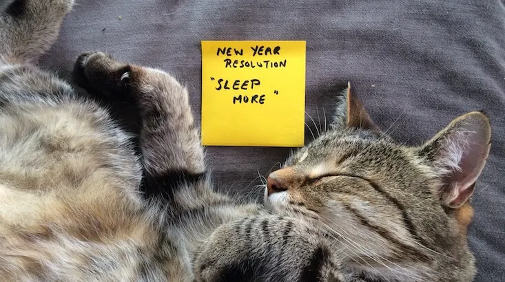 Sleepoing tabby cat holding post it that says New Year resolution 