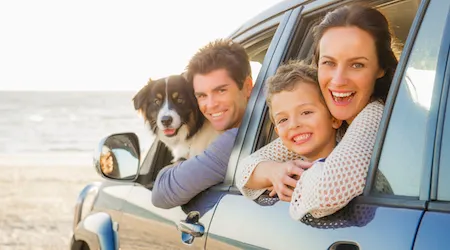 Family and dog leaning out car windows