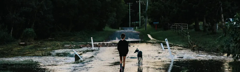Rear view of girl with greyhound dog walking on road after cyclone, Guanaba, Queensland, Australia Image: Supplied