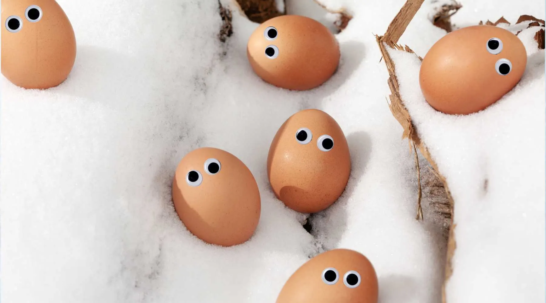 Frozen eggs with google eyes in the snow