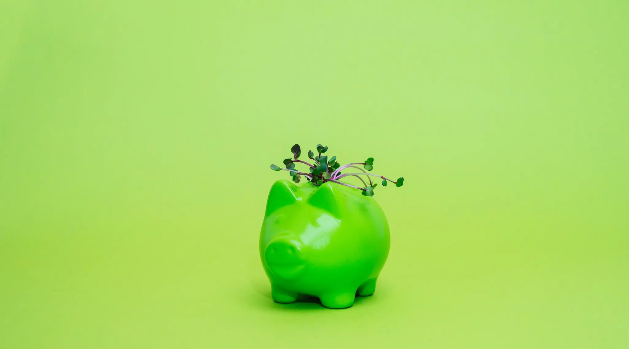 A green piggy bank with a small plant growing out of it. 