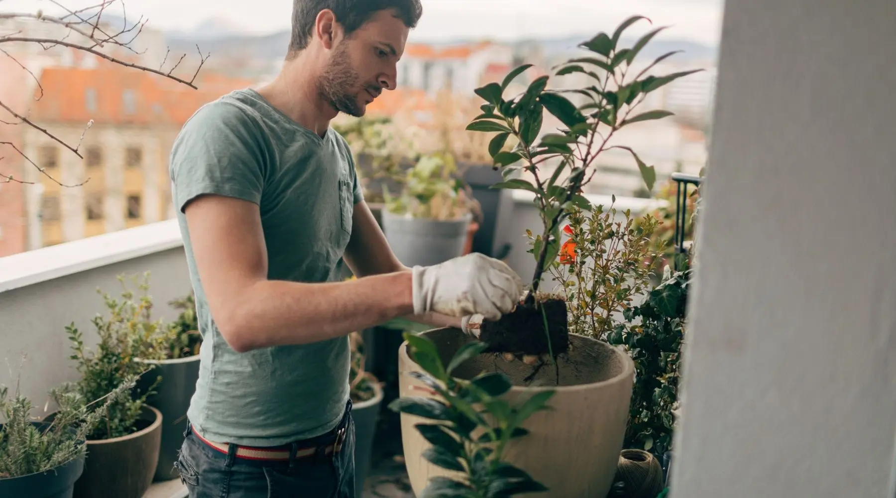 A young man tends to potted plants on his balcony.