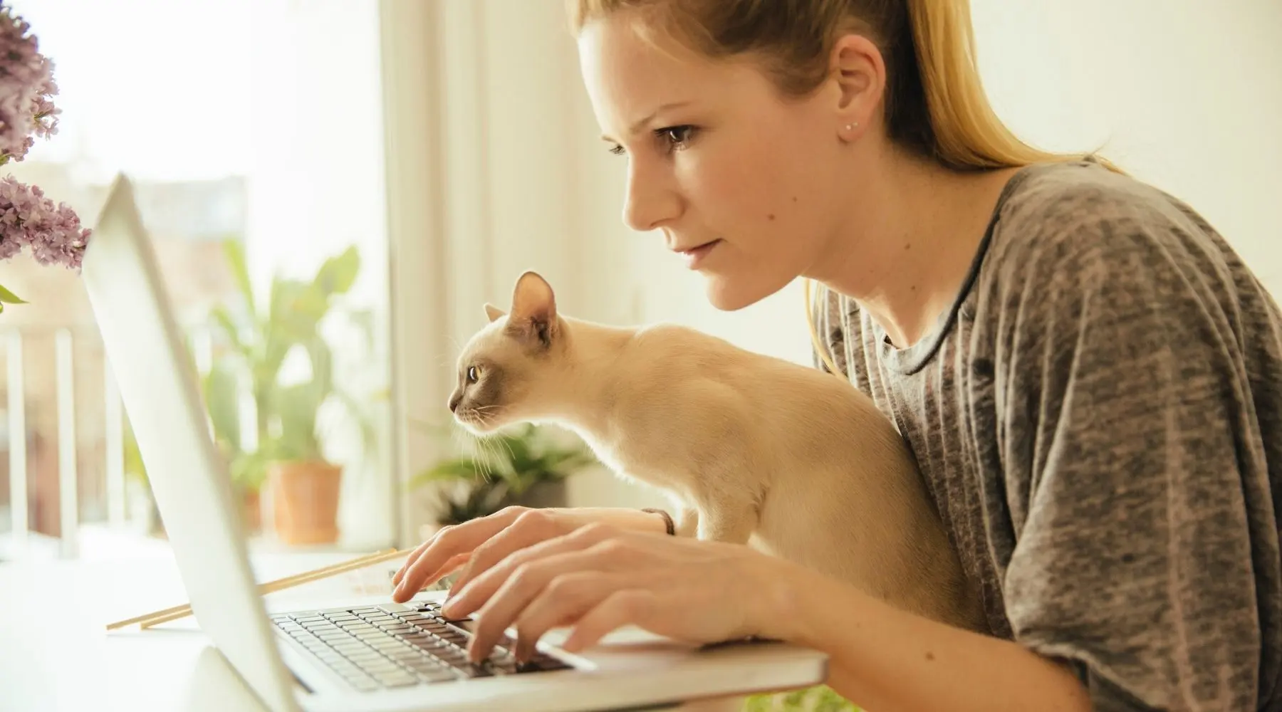 A woman and her cat look at a laptop.