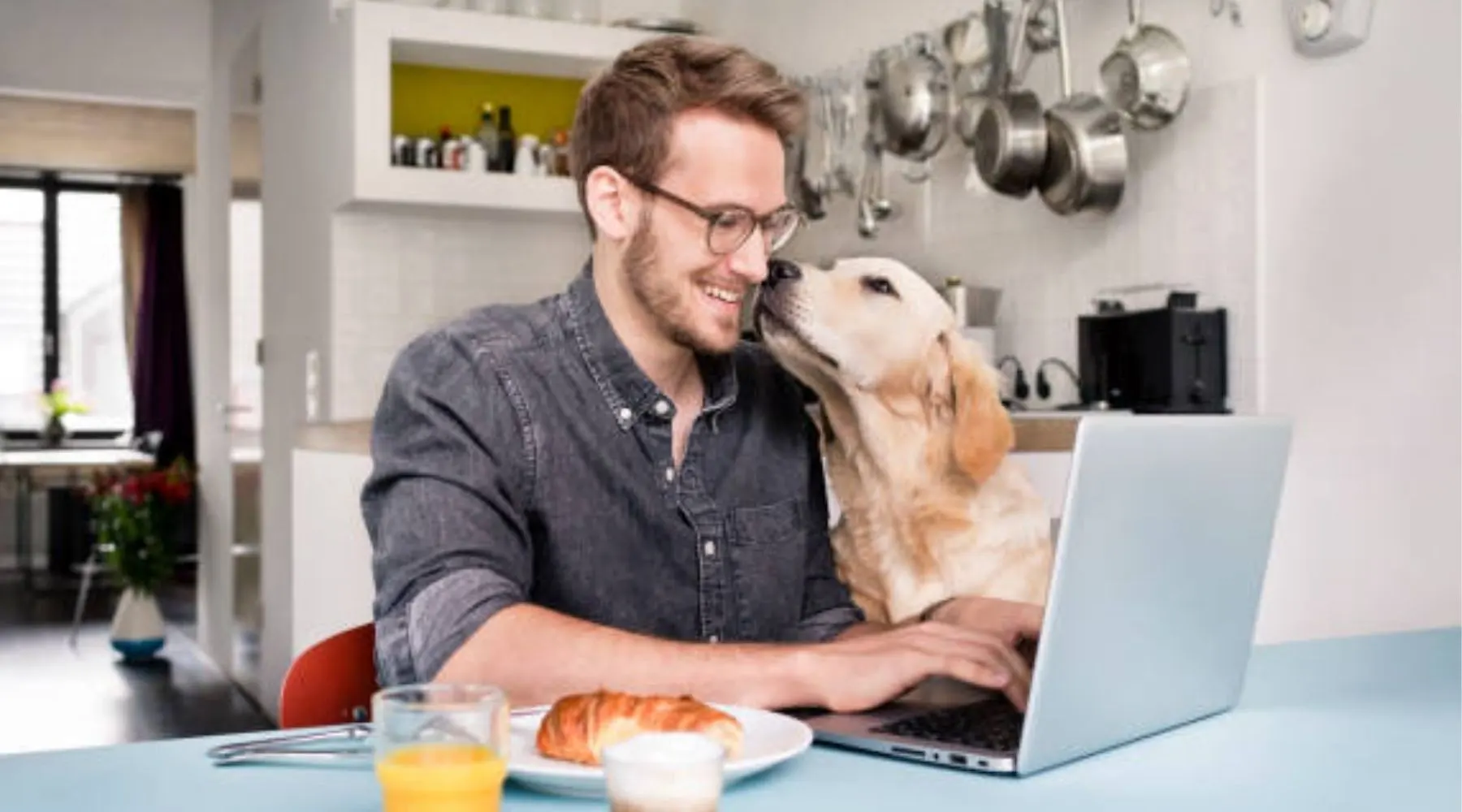 Man with dog at home, working on the laptop