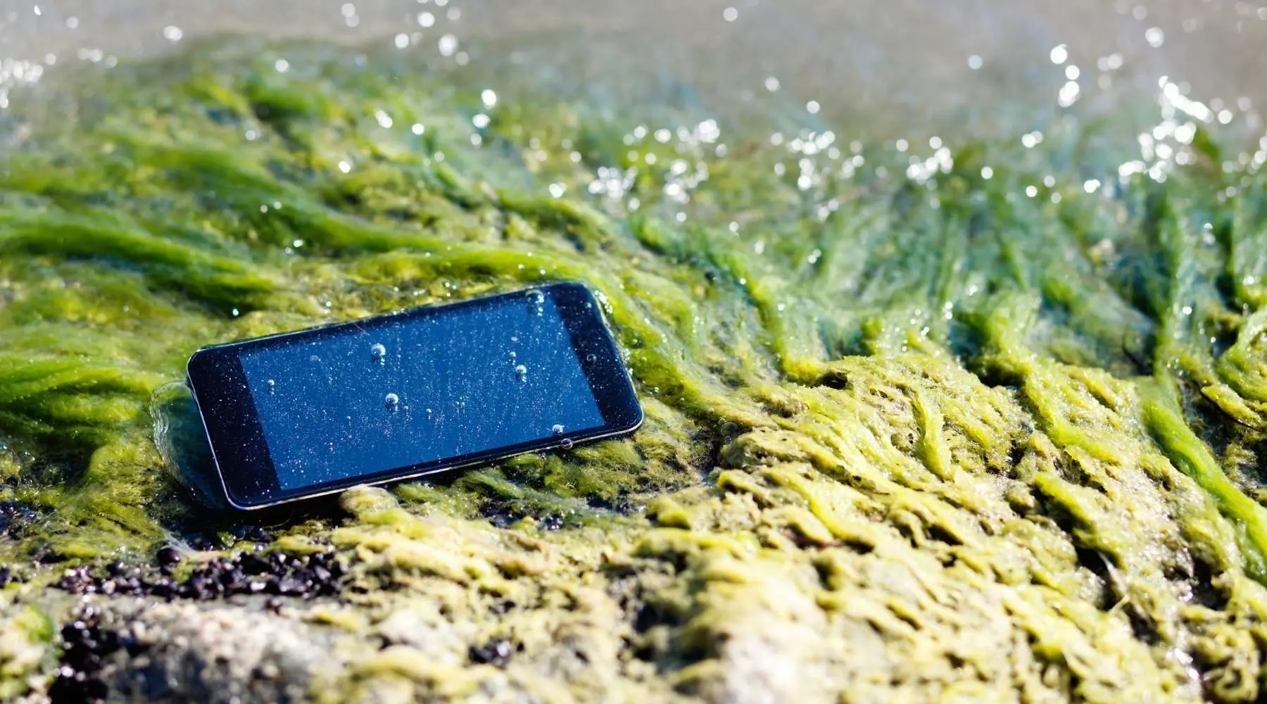 Lost phone in sea