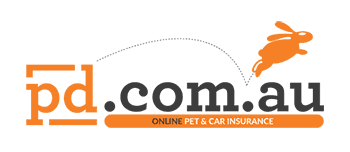 PD Car Insurance