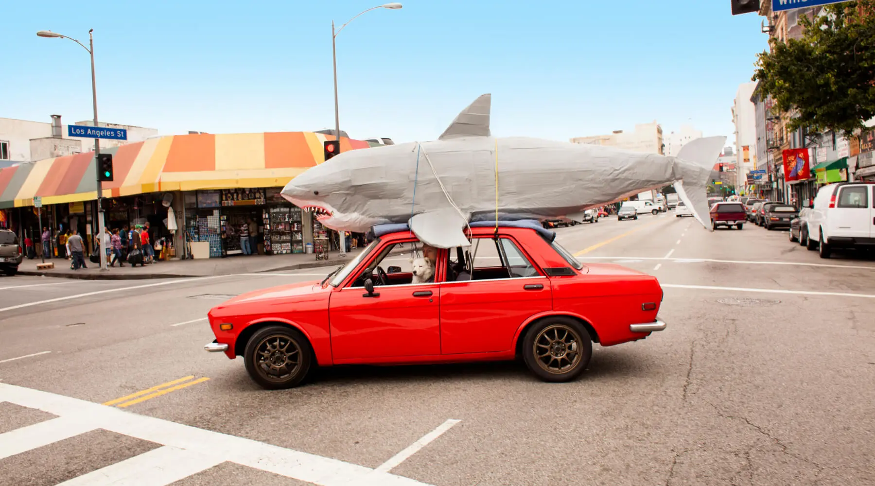 A car with a shark on top