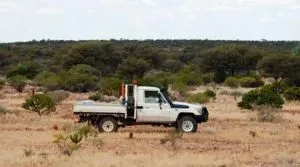 4×4 Ute Reviews