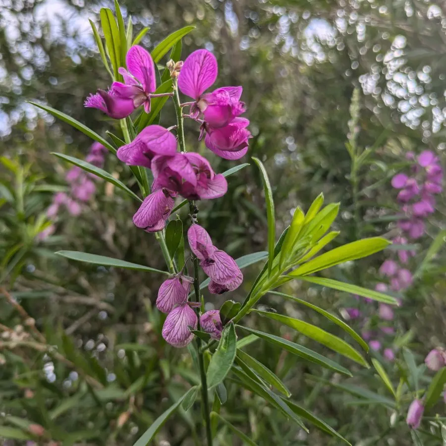 Google Pixel 8a Image 3