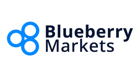 Blueberry Markets logo