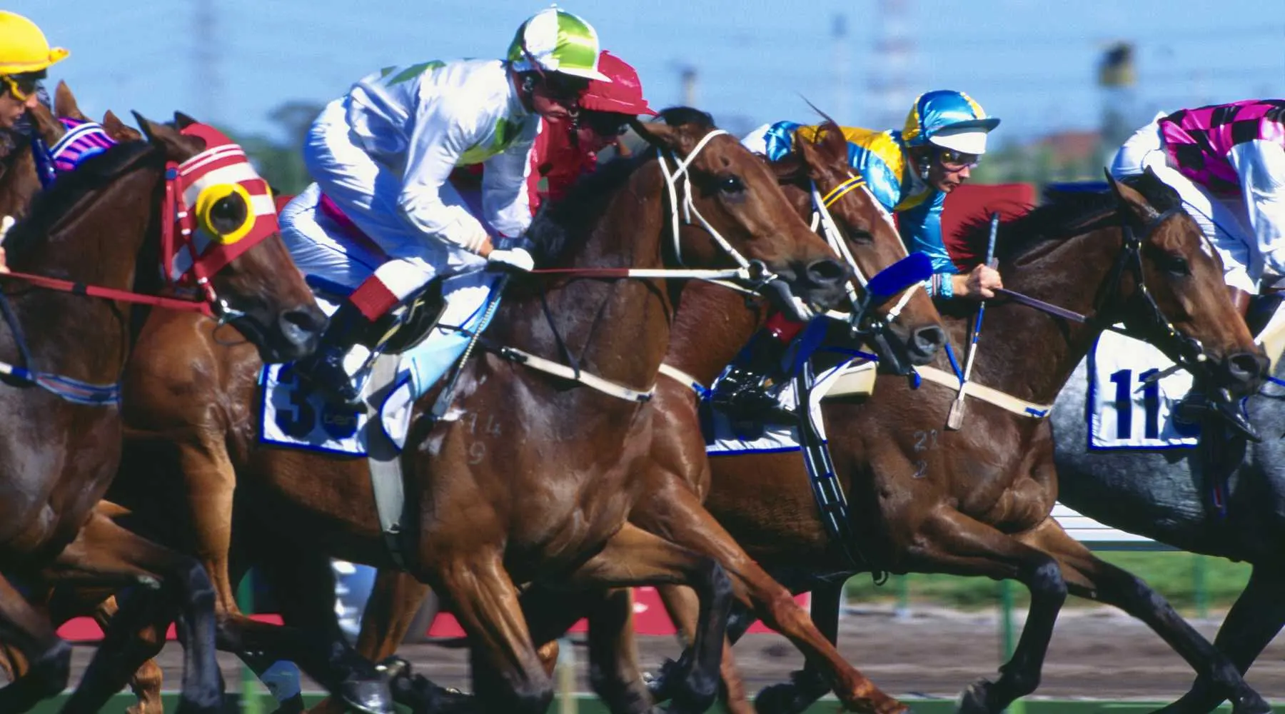 Melbourne Cup_Canva_1800x1000