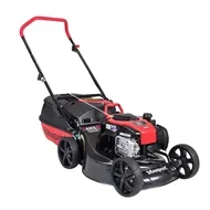 Petrol lawn mower buying guide: Compare petrol mowers | Finder